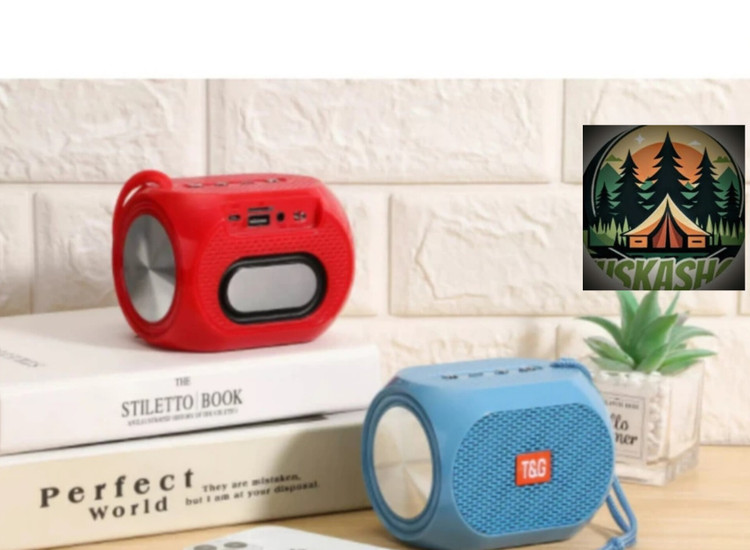 مینی اسپیکر بلوتوثی قابل حمل T&G مدل TG- 196